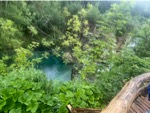 resIMG_20220608_125352_IMG_8579_HEIC.jpg